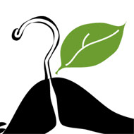 Logo Design - Amber Brown Design