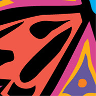 Logo Design - Amber Brown Design