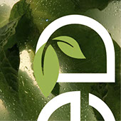 Logo Design - Amber Brown Design