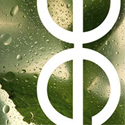 Logo Design - Amber Brown Design