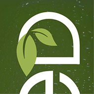 Logo Design - Amber Brown Design